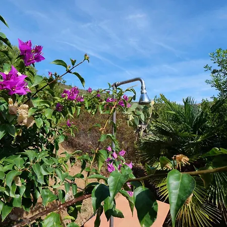 Panorama Ii By Interhome 別荘 カポリーヴェリ